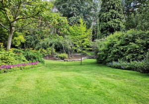 Optimiser l'expérience du jardin à Peux-et-Couffouleux